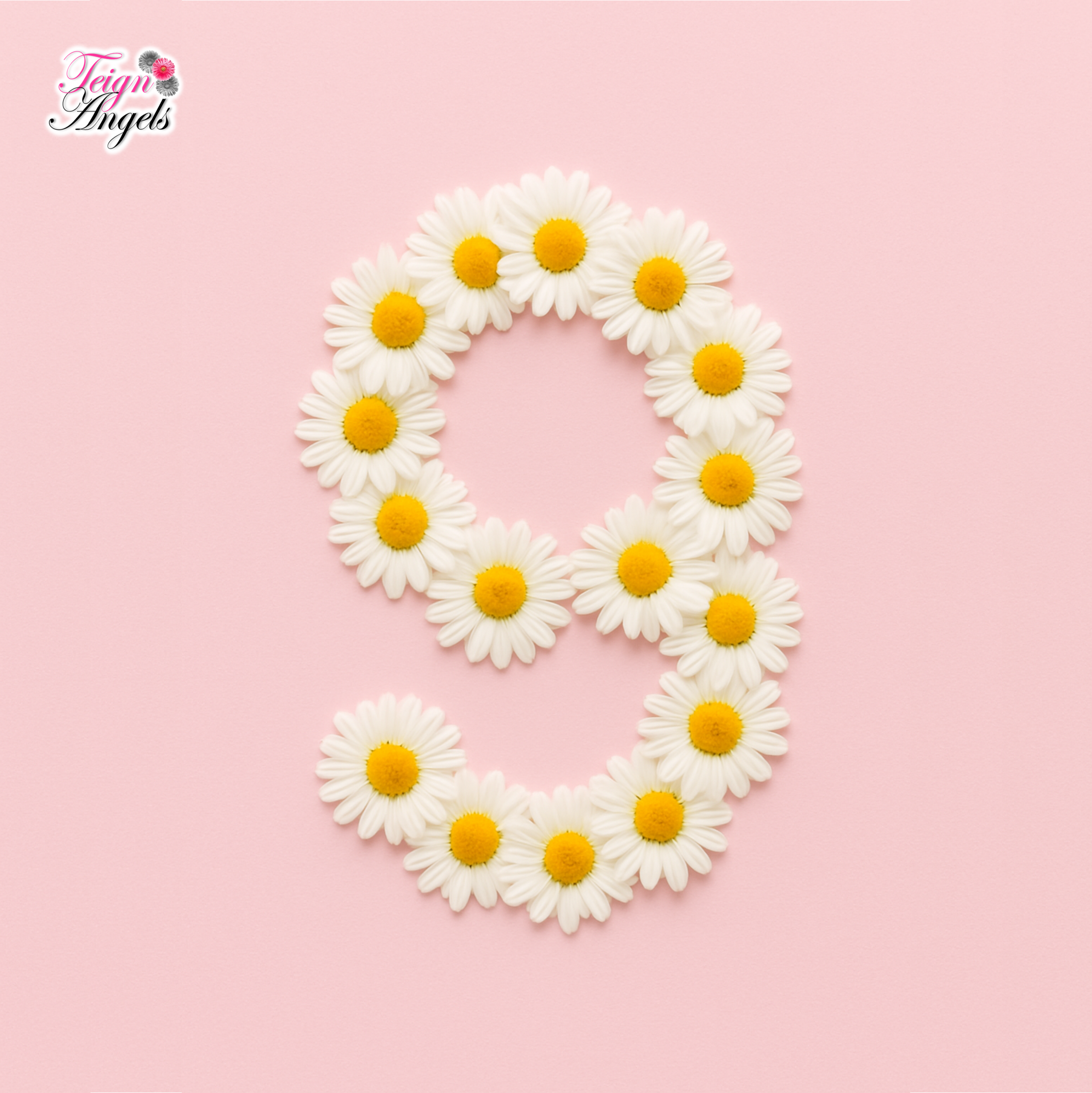 A number 9 made up of daisies, on a pale pink background. In the top left corner is 'Teign' in dark pink and 'Angels' in black, with two dark daisies and one pink daisy.
