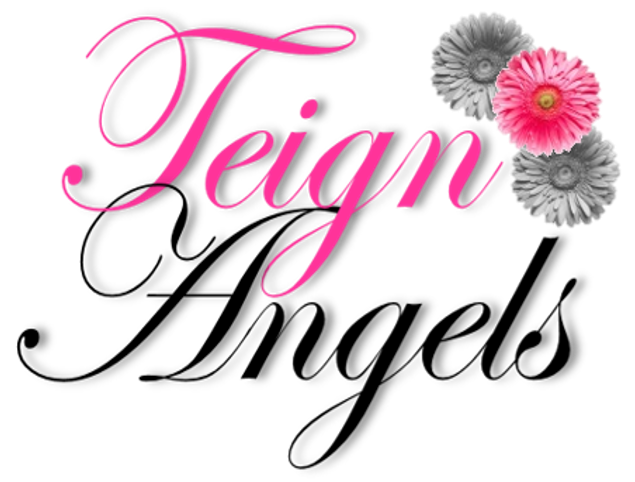 In pink font is 'Teign', and below it in black font is 'Angels'. To the top right are two grey daisies, with a pink daisy overlaying them.
