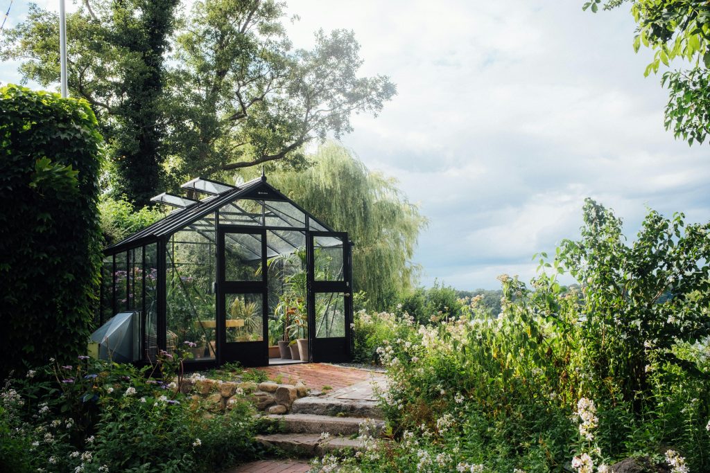 A greenhouse standing in a garden, with a light, cloudy sky above it and a large, ivy-covered tree behind it.
