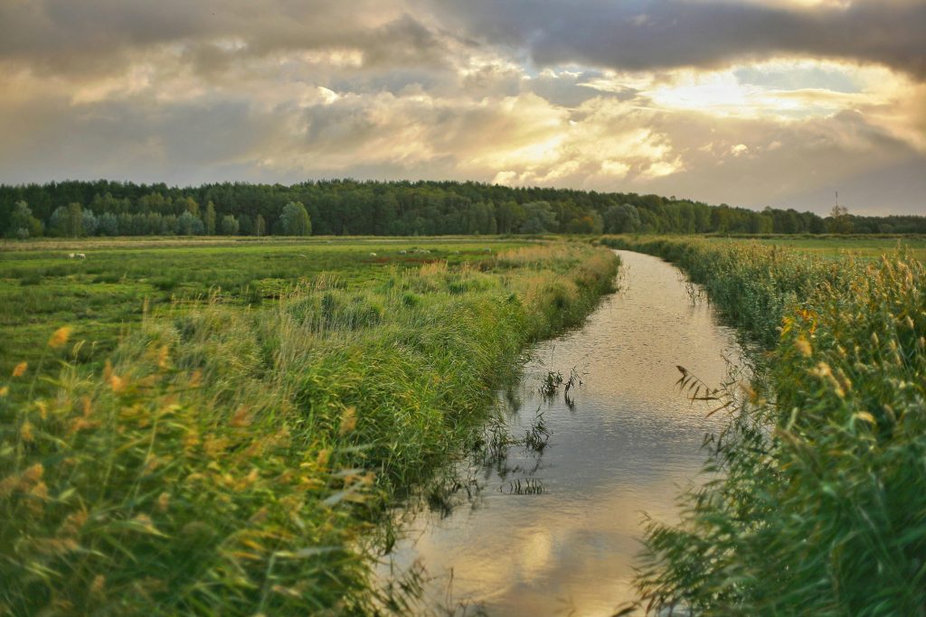 A river runs through a grassy field