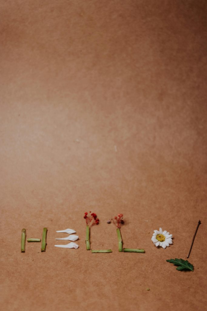 The word 'Hello' made out of flowers and petals on a floor.
