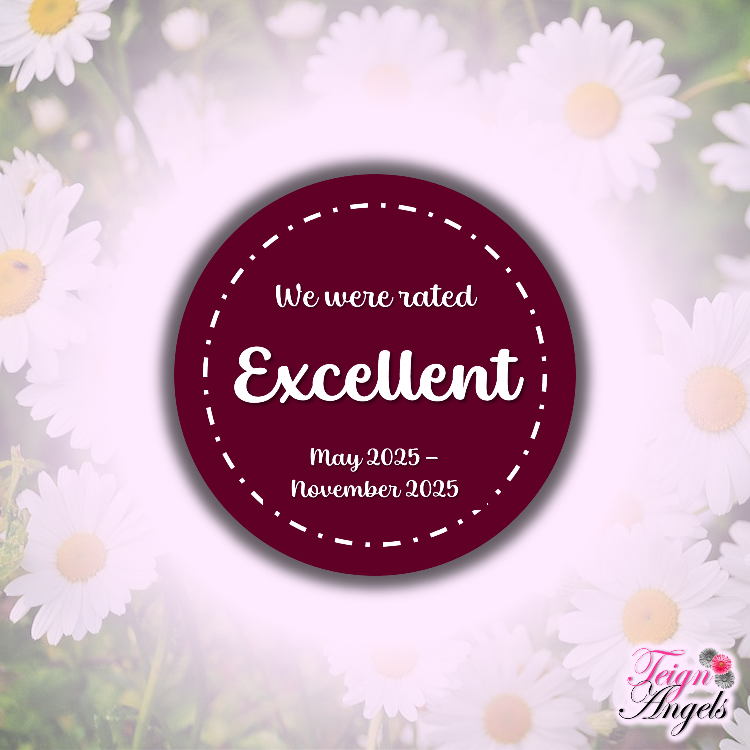 A dark pink circle with text reading 'We were rated Excellent' and 'May 2025-November 2025'. Behind it are daisies.